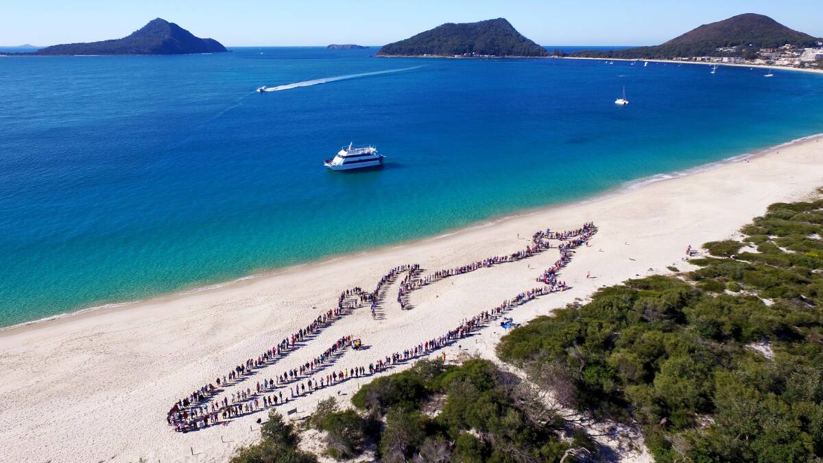 Fingal Beach … people line up to make giant humpback.