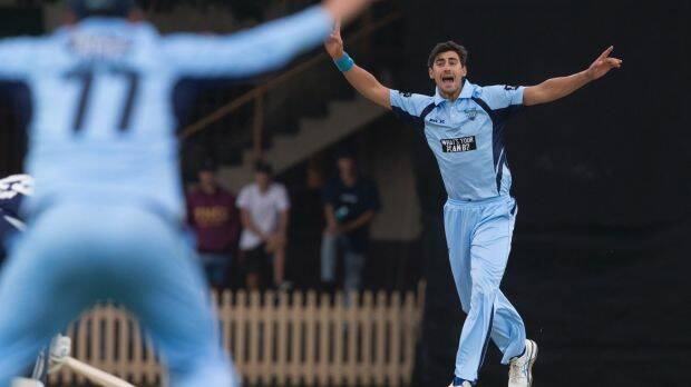 To no avail: Mitchell Starc appeals during NSW Blues' lost to Victoria. Photo: Steve Christo