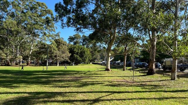 Tress to be removed at Oyster Bay Oval. Picture supplied