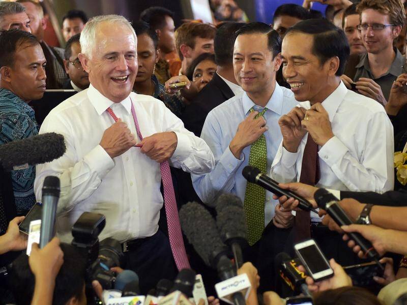 Malcolm Turnbull hopes to to sign a free trade deal with Indonesian President Joko Widodo (File).