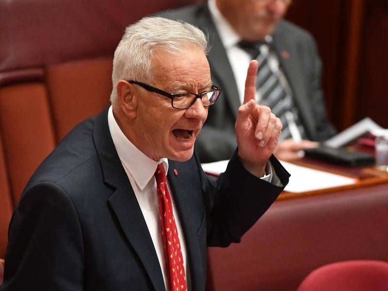 ALP Senator Doug Cameron slams One Nation's Pauline Hanson as she considers business tax cuts.