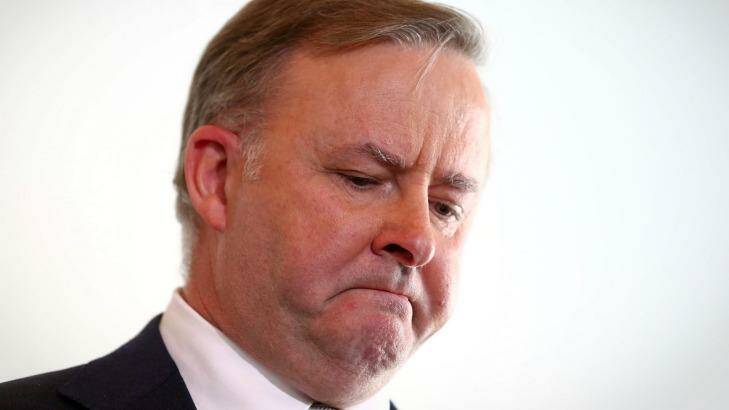 Anthony Albanese explains why he opposes plans for a same-sex marriage plebiscite. 