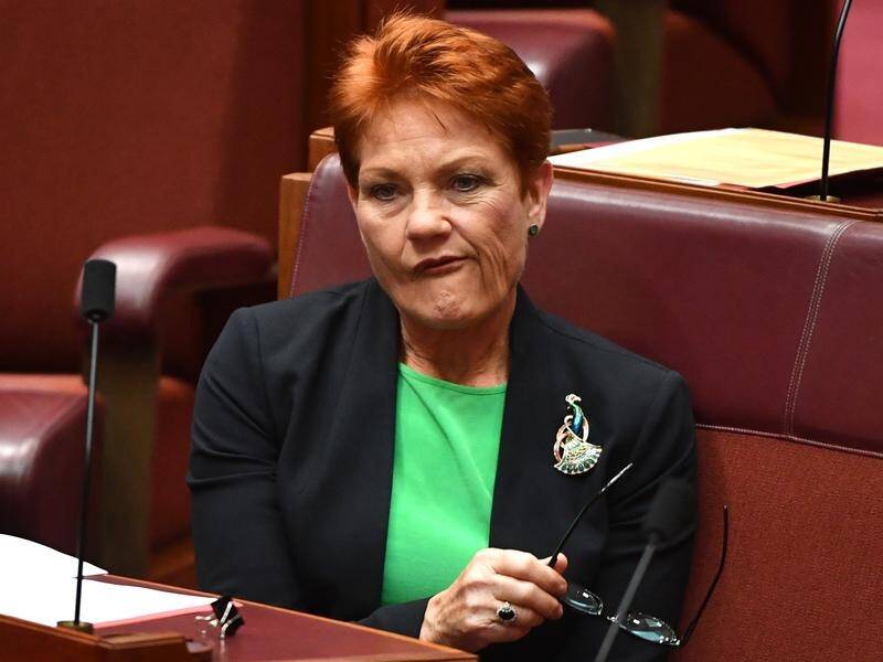 One Nation leader Pauline Hanson has been accused of backflipping on her welfare stance by Labor.