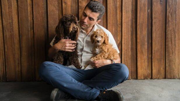John Grima with his cavoodle Coco,11 months old, and nine-week-old puppy at his Kellyville Pets shop.  Photo: Louise Kennerley