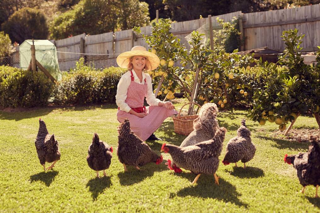 HAPPY HENS: Chickens have engaging and unique personalities. Picture: Shutterstock