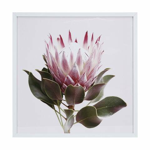A Kmart print. Every home should have one. And probably does.