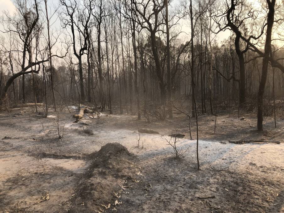 Hot burnt forest country pictured in 2018.