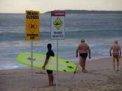 Warning: Surfers and swimmers keep an eye out before entering the water at North Cronulla on Tuesday morning. Picture: John Veage