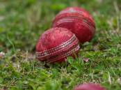 Success: Two local cricket clubs were among six organisations to successfully receive sports grants.
