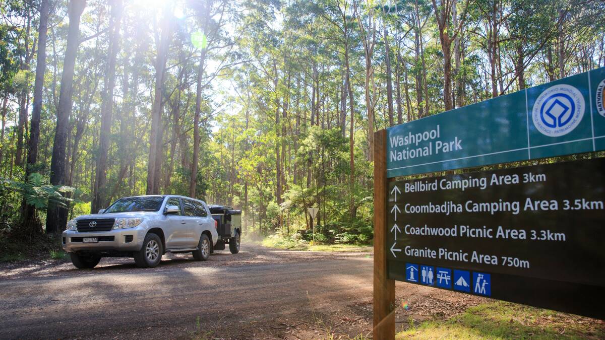 Don't miss Washpool National Park, Washpool. Picture: Supplied

