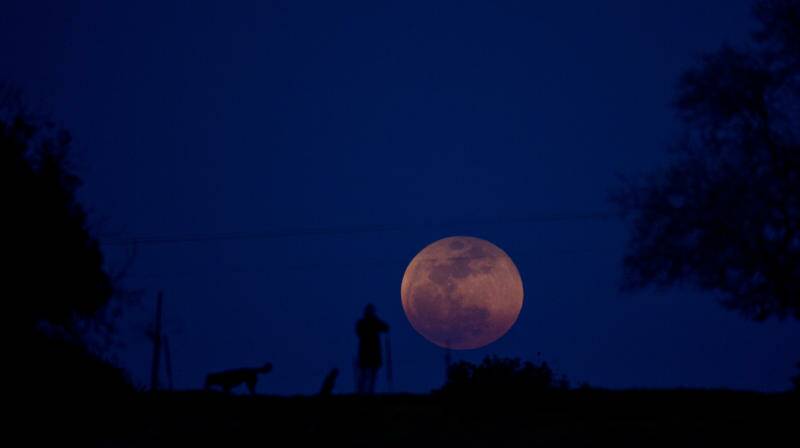 A person and a dog watch as the super blue blood moon rises in Israel earlier this year. Photo: AP Photo/Ariel Schalit