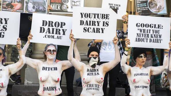 Topless animal welfare activists protest in Melbourne in February 2019 to raise awareness of what they claim is cruelty within the dairy industry. Photo: Ellen Smith/AAP