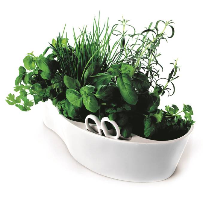 Centrepiece: This herb planter works on a windowsill or as a centerpiece on your table filled with herbs for immediate use. Available at hardtofind.com.au