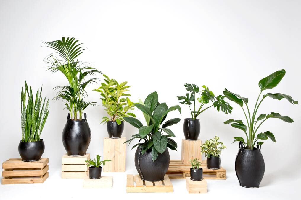 Potted up: Rubber planters made from reclaimed truck tyres in Vietnam are available from upcyclestudio.com.au from $12.