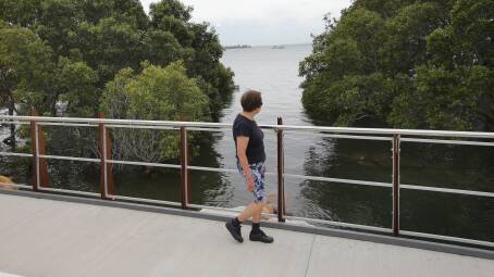 Mangroves on the edge of Woolooware Bay. Picture by John Veage 