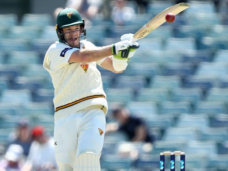 Tim Paine has scored the second first-class century of his career in the Sheffield Shield.