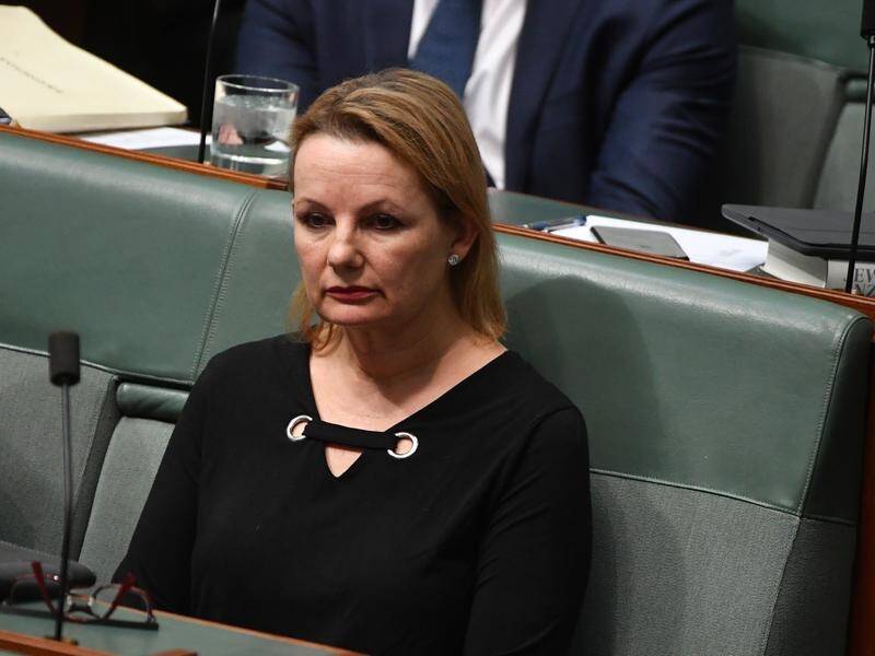 Liberal MP Sussan Ley says she remains "unpersuaded" by arguments in favour of live sheep exports.