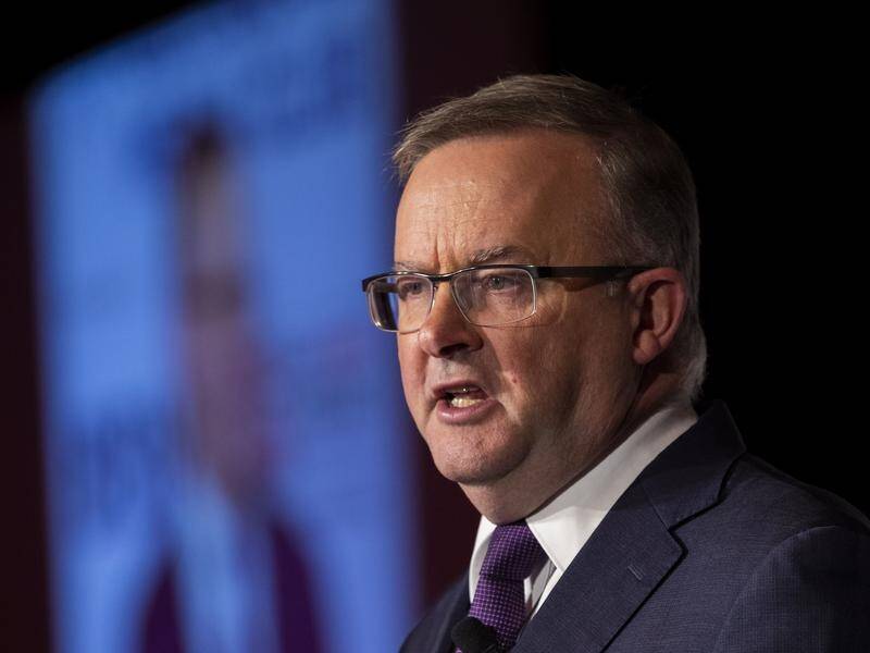 Anthony Albanese has announced Labor's new goal of net-zero emissions by 2050.