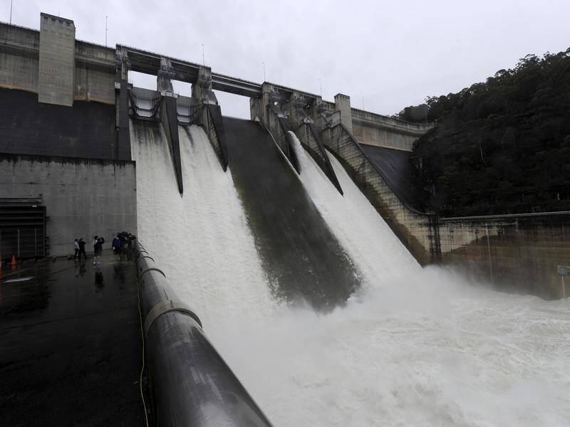 Critics say the Warragamba Dam plan will put at risk threatened flora and fauna.