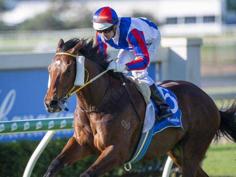 Soxagon will face his toughest test so far when he goes to Listed level in the Glasshouse Handicap.