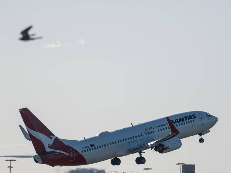 Qantas and Virgin will operate regular flights from London, LA, Hong Kong and Auckland for a month.