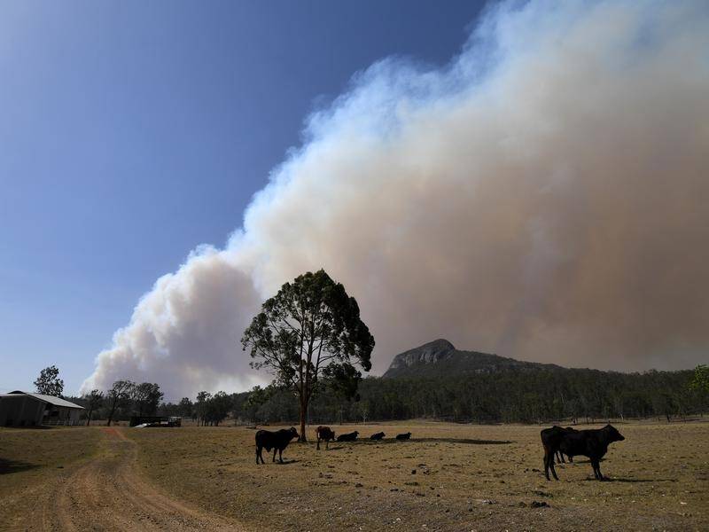 Cooler conditions may help Queensland firefighters battling dozens of fires around the state.