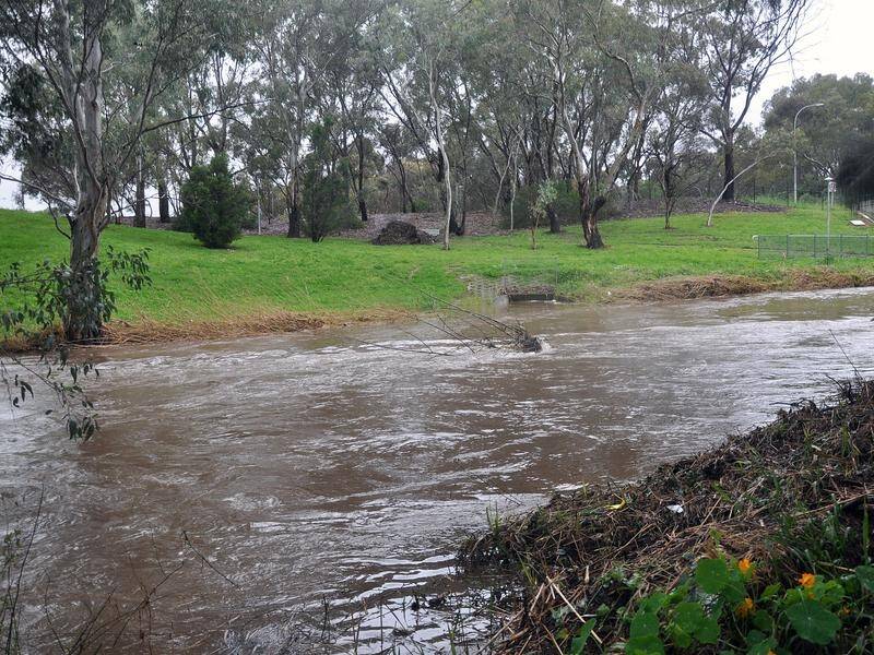 South Australia is bracing for a cold snap that is bringing heavy rain and low temperatures.