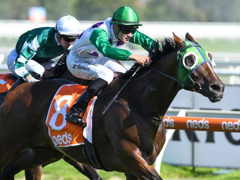Morvada has turned the tables on summer rival Yulong January in the John Dillon Stakes at Caulfield.