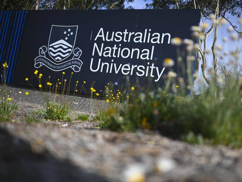 Around 250 ANU staff have taken voluntary redundancies and 215 more are set to go.