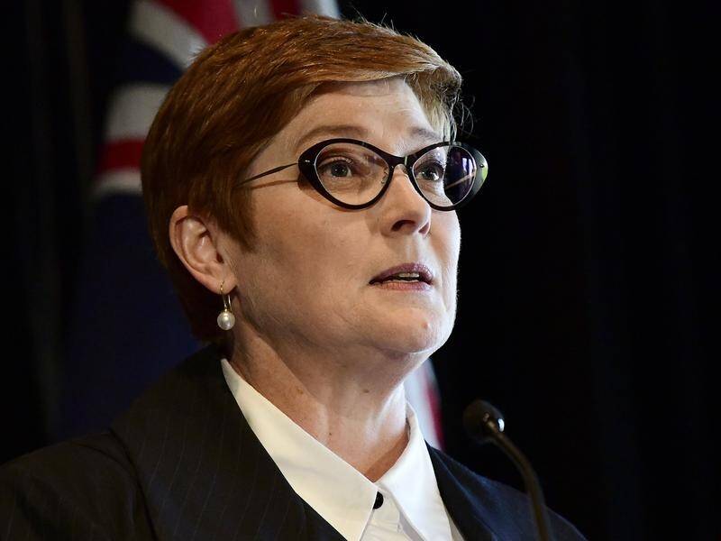 Foreign minister Marise Payne will lead colleagues to PNG-Australia meetings in Port Moresby.