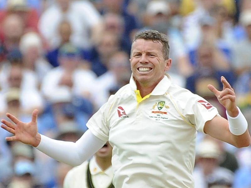 Peter Siddle took seven wickets in three Tests during Australia's 2019 Ashes series against England.