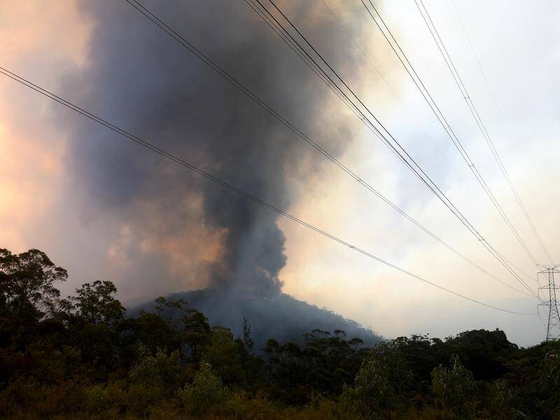 Fire and emergency services heads are urging the government to act against climate change.
