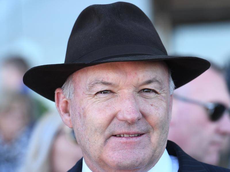 It will be business as usual for trainer David Hayes who is set to return to Hong Kong next year.