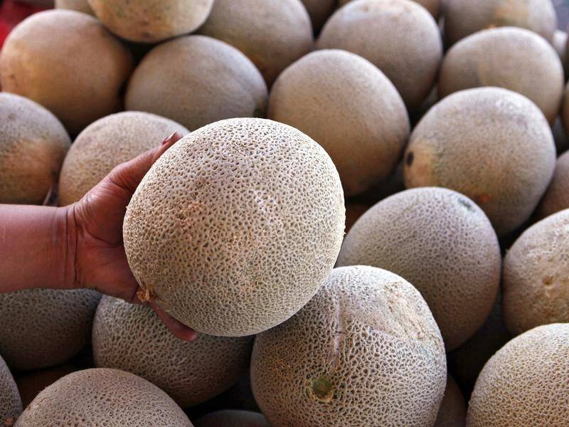 Rockmelons laced with the dangerous listeria infection have been linked to a NSW grower.