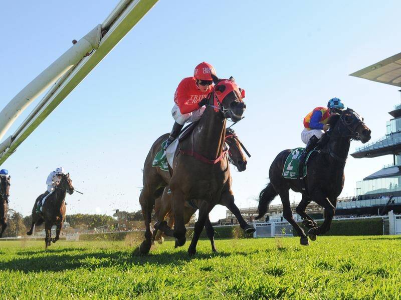 Redzel (red) lines up in The Shorts on the next step to his bid for a third win in the $14m Everest.