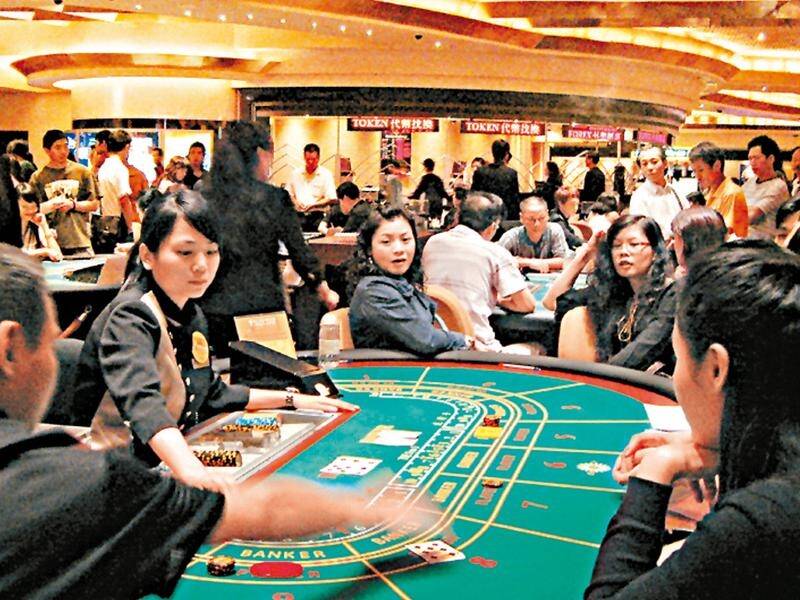 Shares of Macau casino operators have dived as the government kicks off a regulatory overhaul.